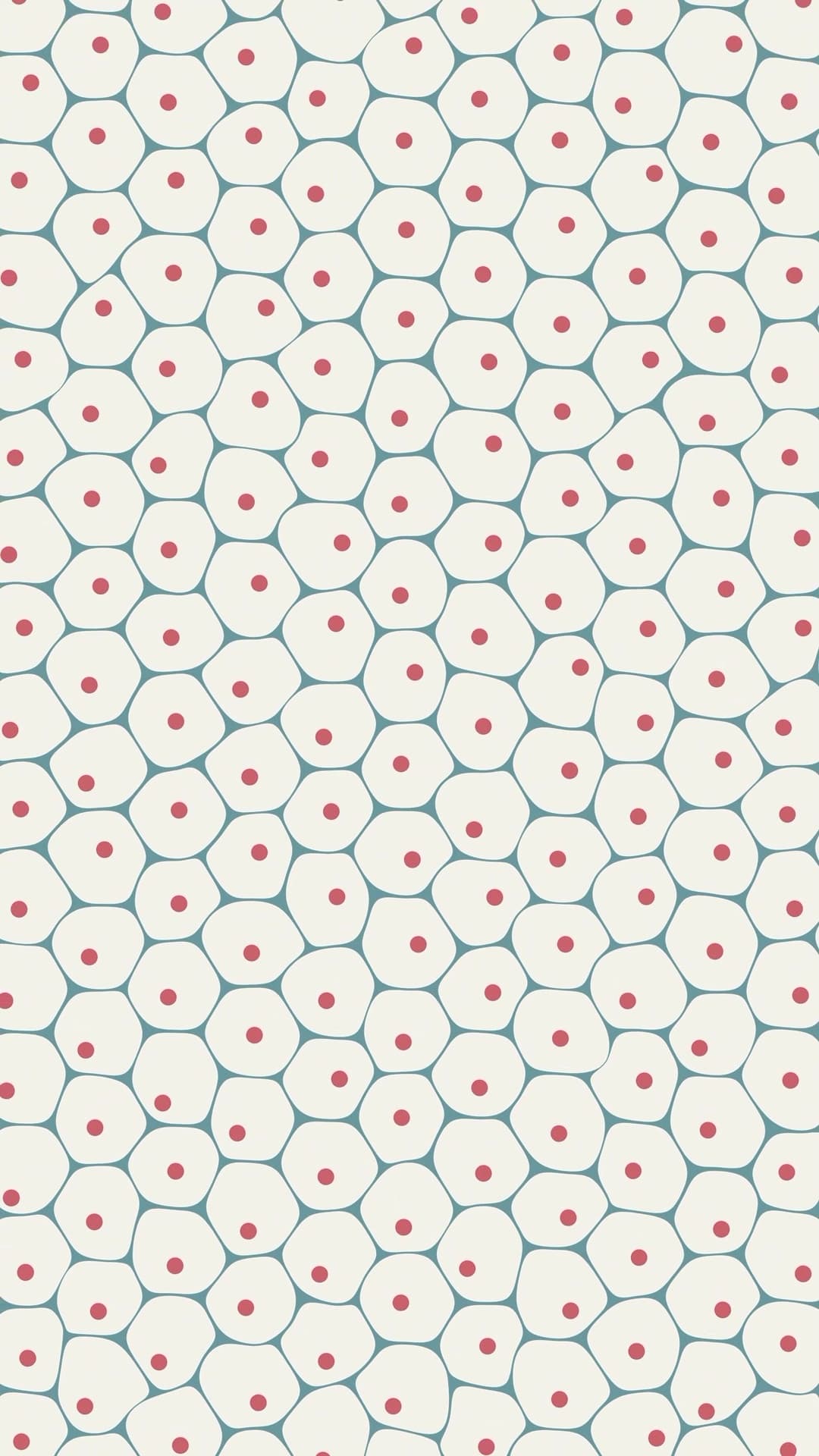 CELLs in Progress